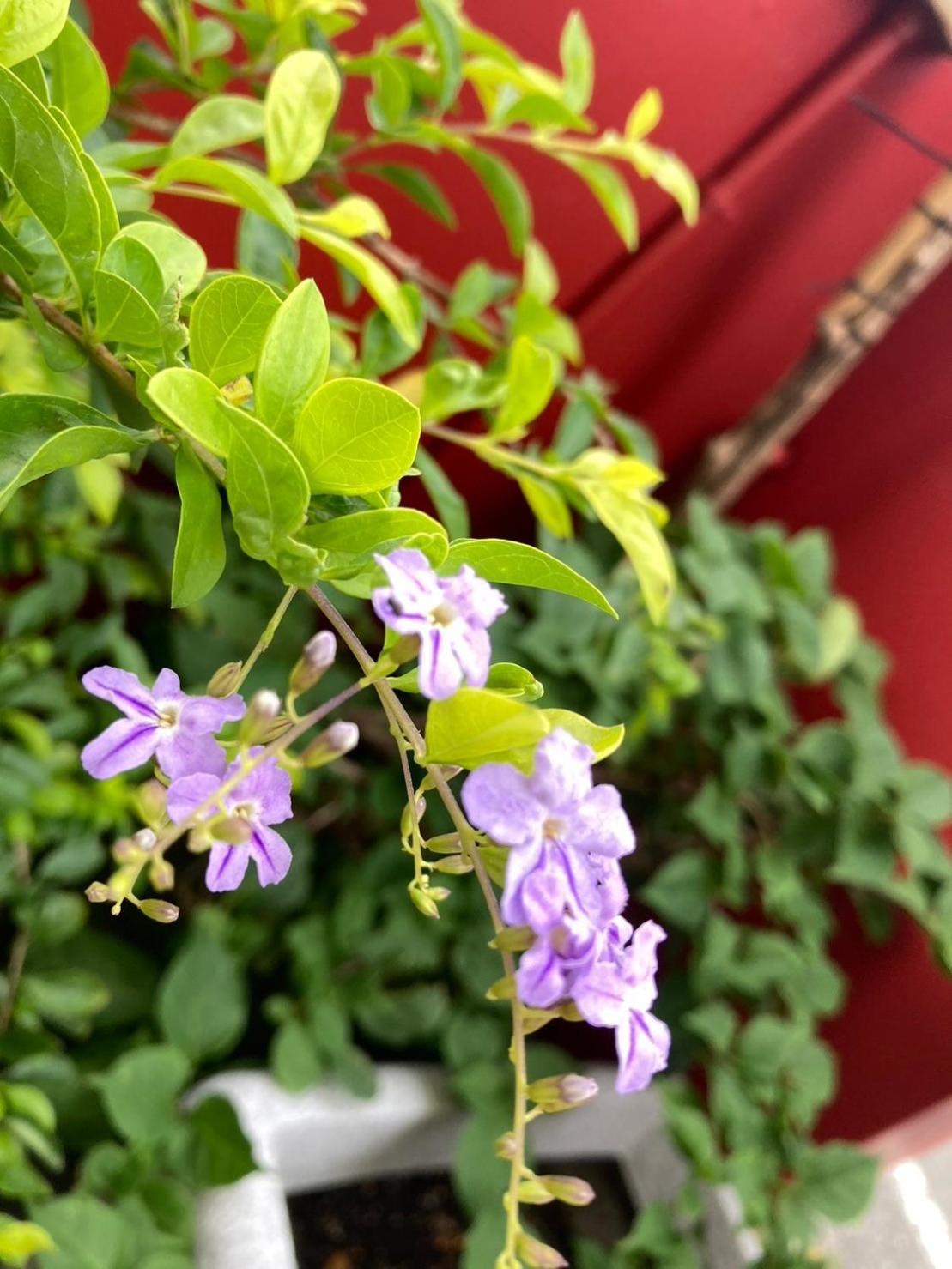 心適都蘭comfy Inn, Dulan دونغهاي المظهر الخارجي الصورة